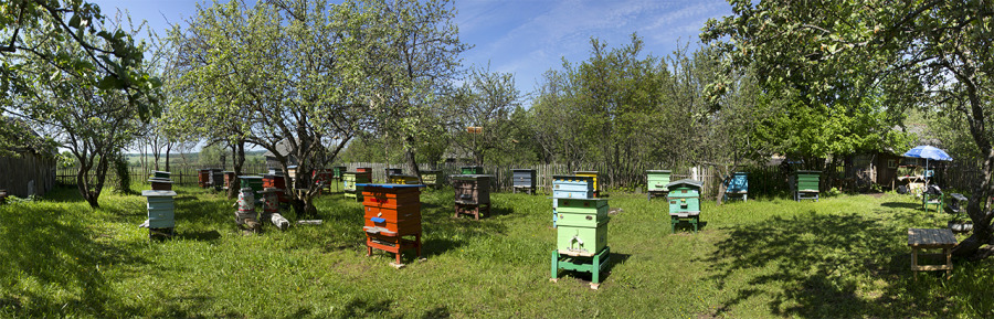 Магазин Пчеловод В Самаре